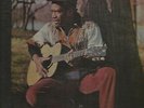HORACE ANDY / IN THE LIGHT / LP /