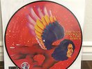 David Bowie Record Store Day The Man Who Sold the World Picture Disc LP