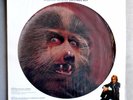 WARREN ZEVON Werewolves Of London 12