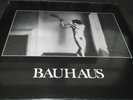 BAUHAUS In The Flat Field (LP) (debut album on 4AD) (Peter Murphy)