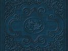 RYAN ADAMS &  CARDINALS - COLD ROSES NEW VINYL