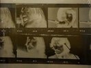 THE BEATLES 'LET IT BE NAKED' BRAND NEW LP SEALED WITH 'FLY ON THE WALL' 7
