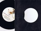 Fields of the Nephilim 7 Inch Radio Promo Single aus UK  Sumerland