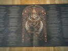 Meshuggah - 