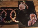 TOOL ***LATERALUS *** DOUBLE LP PICTURE DISC VINYL Maynard Adam Jones