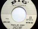 TOM & JERRY 45 That's My Story NEAR MINT Doo Wop PROMO Rockabilly TEEN e6713