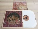 RUFUS WAINWRIGHT LP - WANT TWO /2004 GEFFEN RECORDS PRESS in MINT-