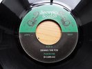 Dennis The Fox - Catfish Gumbo / Piledriver (7