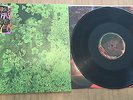 Animal Collective Water Curses EP OOP Rare Free Shipping, excellent condition