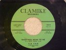 ILA VAN (N. SOUL)   WHAT YOU MEAN TO ME / CRUISING WITH THE BLUES   CLAMIKE 502