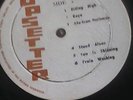 BOB MARLEY AND THE WAILERS REVOLUTIONARY LP