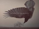 KATATONIA - THE FALL OF HEARTS - VINYL LP (2) PEACEVILLE - NEU EINGESCHWEISST