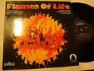 FLAMES OF LIFE Eulenspygel GERMAN PROGRESSIVE LP 1970s