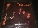 THE BLACK CROWES Shake Your Money Maker black vinyl LP unplayed