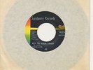 Diabolics Sundance 44154 Key To Your Heart 45 Get It Together
