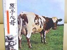 Japan Issue LP   PINK FLOYD / Atom Heart Mother   EMS 80320 Free Shipping