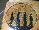Echo and the bunnymen song to learn and sing picture disc record