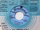 Gas & The Funk Factory Goodnight Song   Brunswick Promo Soul Northern