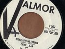 VALMOR teen rock PROMO 45  CATHY JEAN & ROOMATES - Please Love Me Forever  NM