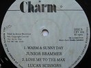 CLASSIC DIGI Junior Brammer Lucan Scissors Crime Stoppa UK Charm 12