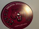 Digital Mystikz ?– Walkin' With Jah / Earth A Run Red 12