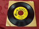 The Ferrari's of Canada - Little Pineapple / Irene Goodnight 45 G Clef Surf Rock