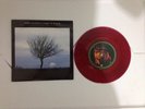 TAKE IT BACK // PINK FLOYD 1994 EMI 45 SINGLE EM309 UK--RED VINYL