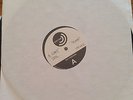 A GIANT DOG LP TEST PRESSING  VERY RARE  BONE LP, Spoon, Merge Records
