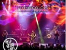 Flying Colors: 