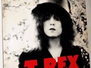 T.Rex (Marc Bolan): 