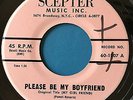 SHIRELLES - Please Be My Boyfriend/I Saw A Tear - RARE R&B 45 on SCEPTER NM-