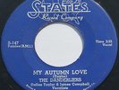 Great Doo Wop 45 - DANDERLIERS - My Autumn Love b/w Chop Chop Boom - STATES