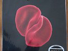 Peter Gabriel - Scratch My Back - Classic Records 200 Gram Sealed