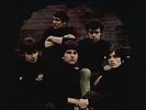 THE SORROWS TAKE A HEART PRT RECORDS LP VINYLE NEUF NEW VINYL REISSUE