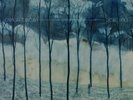 Camera Obscura - Desire Lines [Vinyl New]