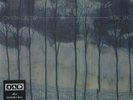 Desire Lines - Camera Obscura 652637331417 (Vinyl Used Very Good)