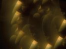 JARVIS COCKER - MUSIC FROM LIKELY STORIES  - NEW 7