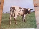 Pink Floyd - Atom Heart Mother - Vinyl Lp
