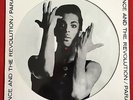 PRINCE -Parade- Very Rare LP Picture Disc with Original Die Cut Sleeve (vinyl)