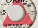 The Fundamentals-let Me Show It To You/I Wouldn't Blame Ya-okeh White Demo - M-
