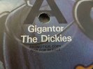 THE DICKIES GIGANTOR 7