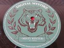 DIGITAL MYSTIKZ : MISTY WINTER / CONFERENCE  -  DUBSTEP  -  2008