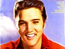 Elvis Presley , For LP Fans Only ( LP 180 gram_Speakers Corner Records )