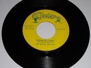 ROYAL JESTERS 45 WISDOM OF A FOOL Texas Rock Doo Wop Northern Soul R&B NM