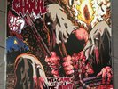 Ghoul We Came For The Dead LP +FLEXI Thrash Metal Horror Punk Toxic Holocaust 14