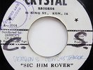 The Crystalites SIC HIM ROVER / WAY OUT Crystal RARE 45