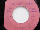 THE HEPTONES Equal Rights Blank 45 + RAPHAEL STEWART What a Hard Time 45 RARE