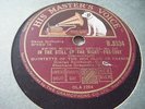 DJANGO REINHARDT,S GRAPPELLY*IN THE STILL OF THE NIGHT/ SHINE*EX