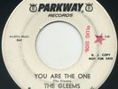 THE GLEEMS You Are The One/Sandra Baby 7