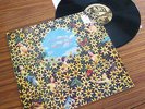 WIZZ JONES : MAGICAL FLIGHT : RARE VINYL LP : 1977 PLANTLIFE PLR 009 : EXCELLENT
